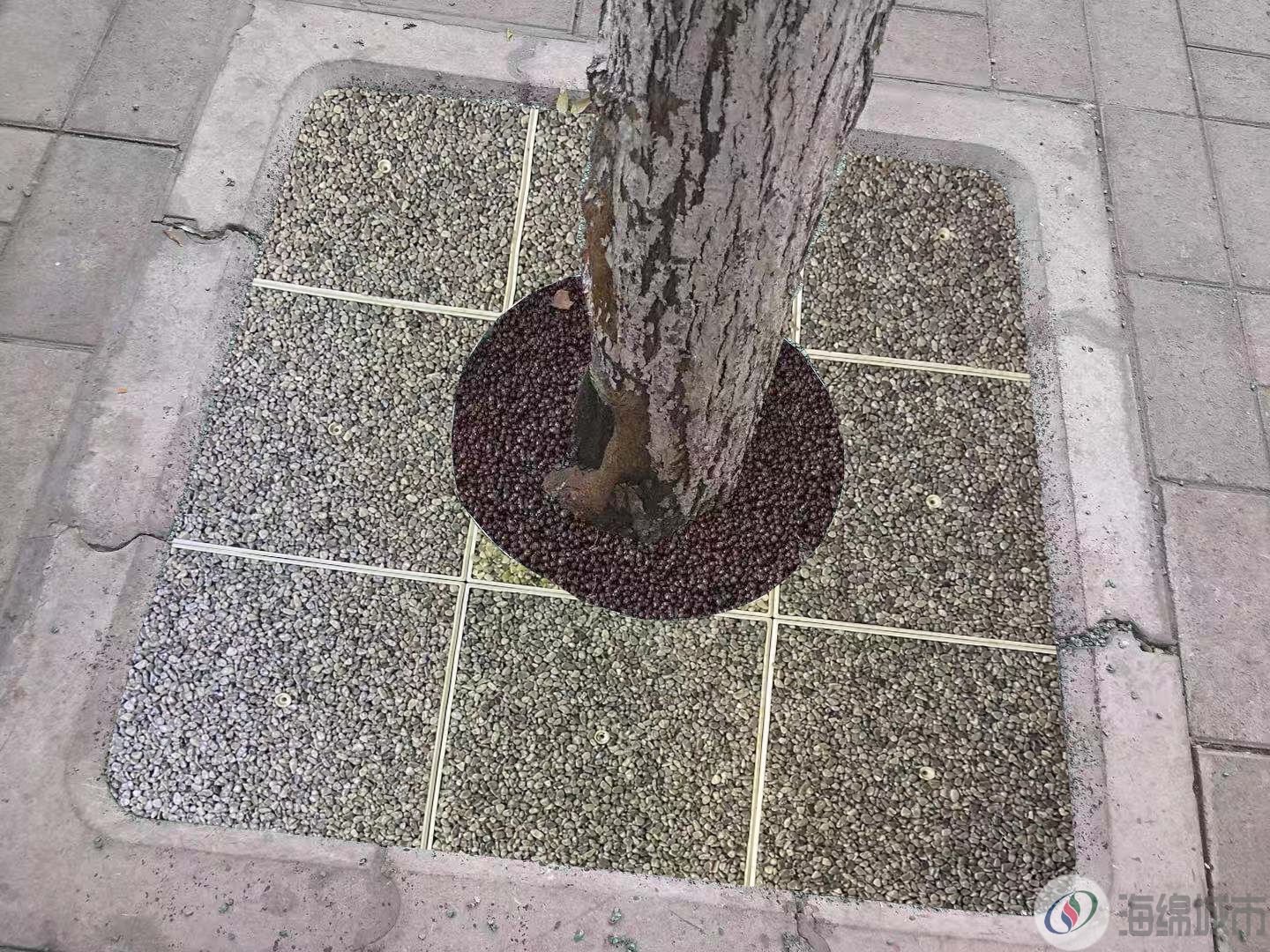 生态树围